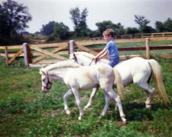Kerrymor's Surprise and Dolly with Terry McKenna in 1978. Kerrymor's Surprise and Dolly with Terry McKenna in 1978.
