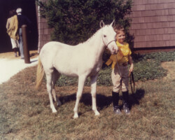 Kerrymor's Surprise with Terry McKenna in 1978 at the St Louis National Charity Horse Show. Kerrymor's Surprise with Terry McKenna in 1978 at the St Louis National Charity Horse Show.