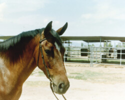 Rebecca Star at age 3 in 1989. Rebecca Star at age 3 in 1989.