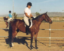 Rebecca Star at age 3 at her first horse show in 1898 in Phoenix, Arizona. It was a night show, with some of Becky's later classes held in a brightly lit arena after darkness had fallen. Rebecca Star at age 3 at her first horse show in 1898 in Phoenix, Arizona. It was a night show, with some of Becky's later classes held in a brightly lit arena after darkness had fallen.