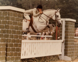 Blagdon Silver Gilt, sire of Hideaway Bay. Blagdon Silver Gilt, sire of Hideaway Bay.