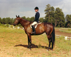 Kerrymor Lady Diana with Terry McKenna in 1986 at a show in Flagstaff, Arizona.