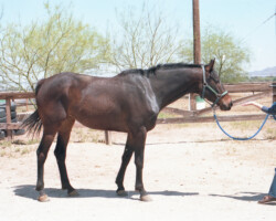 Canteloupe Island in 1988 with Joan McKenna Sr. Canteloupe Island in 1988 with Joan McKenna Sr.
