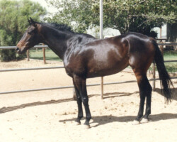 Canteloupe Island in 1988. Canteloupe Island in 1988.