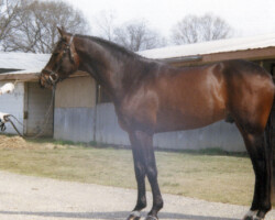 Kerrymor Finbarr in the late 1980s.