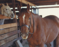 Flosie Turn in 1980.