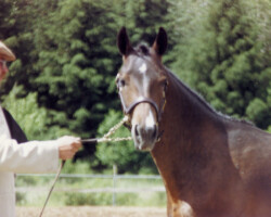 Flurry Knox around 1990.