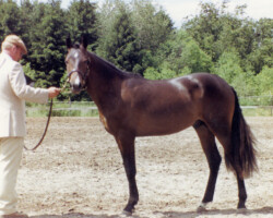 Flurry Knox around 1990.