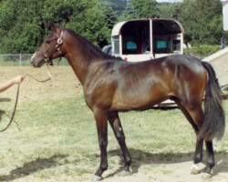 Flurry Knox around 1990. Flurry Knox around 1990.