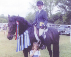 14 Karat Kerrymor shows off his championship ribbon and four blue ribbons in the 1990s. Karat had been borrowed by a friend of owner Deana Eaton Blackburn, of The Woodlands, Texas, for a show after the friend's horse was injured. Karat did not disappoint. (Photo courtesy Deana Eaton Blackburn)
