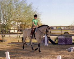 Kerry Gold gets some exercise at age 22, while Capper the dog rests nearby, in 1993. Kerry Gold gets some exercise at age 22, while Capper the dog rests nearby, in 1993.