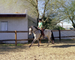Kerry Gold canters at age 22 in 1993. Kerry Gold canters at age 22 in 1993.