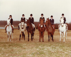 Kerry Gold gets ready for a fox hunt at the Bridlespur Hunt Club. Kerry Gold gets ready for a fox hunt at the Bridlespur Hunt Club.