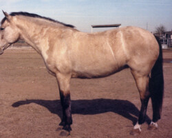 Kerry Gold in 1985. Kerry Gold in 1985.