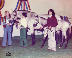 Kerry Gold and Kerrymor Texas Gold receive a blue ribbon from author Dorothy Lyons in 1980 at the St. Louis National Charity Horse Show. Kerry Gold and Kerrymor Texas Gold receive a blue ribbon from author Dorothy Lyons in 1980 at the St. Louis National Charity Horse Show.