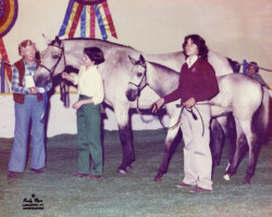 Kerry Gold and Kerrymor Texas Gold receive a blue ribbon from author Dorothy Lyons in 1980 at the St. Louis National Charity Horse Show. Kerry Gold and Kerrymor Texas Gold receive a blue ribbon from author Dorothy Lyons in 1980 at the St. Louis National Charity Horse Show.