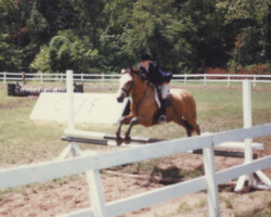 Kerrymor's Gold Nugget with Katie Dalzell in the late 1970s.