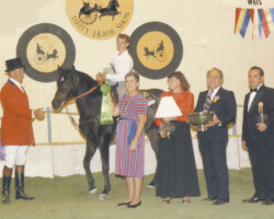 Kerrymor's Autumn Hope and Terry McKenna accept their ribbon after competing in the Challenge of the Breeds event in 1985 at the St. Louis National Charity Horse Show. Dr. Dean Hodge is at right.