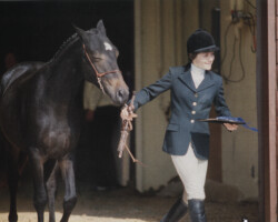 Kerrymor's Autumn Hope wins the 2-year-old Connemara mare class with Joanie McKenna Jr. in 1978 at the St. Louis National Charity Horse Show.