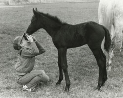 Kerrymor Chimera as a foal in 1983 and Terry McKenna. Kerrymor Chimera as a foal in 1983 and Terry McKenna.