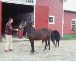 Round Robin's Easter Bonnet and Jim Bailey at Lynfields Farm in 1975. Round Robin's Easter Bonnet and Jim Bailey at Lynfields Farm in 1975.