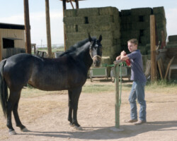 Kerrymor's Autumn Hope and Terry McKenna in the mid-1980s in Phoenix.