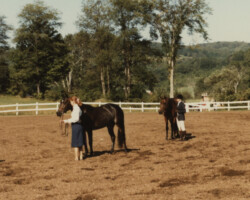 Kerrymor's Autumn Hope with Katie Dalzell at the ACPS Region 1 Connemara Breed Show in 1981 in Woodstock, Vermont.