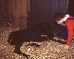 Kerrymor Chimera as a newborn with Terry McKenna.