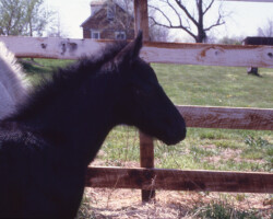 Kerrymor Chimera hangs out with his mom in 1983.