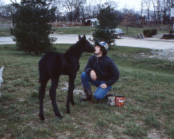 Kerrymor Chimera with James Cain in 1983. Kerrymor Chimera with James Cain in 1983.