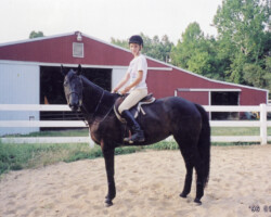 Kerrymor's Do A Dance with a rider.