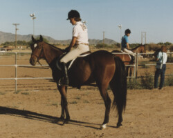 Rebecca Star at age 3 at her first horse show in 1898 in Phoenix, Arizona. It was a night show, with some of Becky's later classes held in a brightly lit arena after darkness had fallen. Rebecca Star at age 3 at her first horse show in 1898 in Phoenix, Arizona. It was a night show, with some of Becky's later classes held in a brightly lit arena after darkness had fallen.
