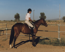 Rebecca Star at age 3 at her first horse show in 1898 in Phoenix, Arizona. It was a night show, with some of Becky's later classes held in a brightly lit arena after darkness had fallen. Rebecca Star at age 3 at her first horse show in 1898 in Phoenix, Arizona. It was a night show, with some of Becky's later classes held in a brightly lit arena after darkness had fallen.