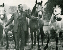 Registered Connemara pony mares Ceann Beag, Pipers Star, Bold Venture and Cullahara, with Stanislaus Lynch, who chose the ponies for Robert H. Wright Jr.