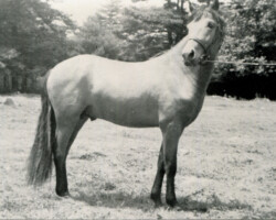 Laxfield Gil Tully Laxfield Gil Tully