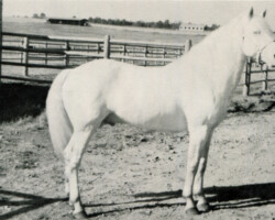 Marconi