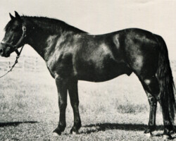 Tully N***** Tully N*****