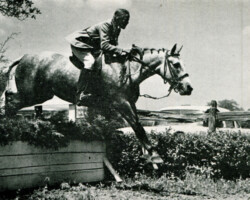 Whitewood Biscuit Whitewood Biscuit