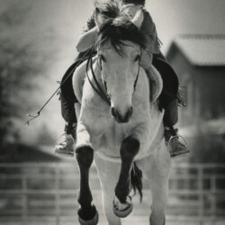 Sahuaro Misty Sunrise jumps a fence with Joanie McKenna in 1990. Sahuaro Misty Sunrise jumps a fence with Joanie McKenna in 1990.