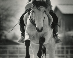 Sahuaro Misty Sunrise jumps a fence with Joanie McKenna in 1990. Sahuaro Misty Sunrise jumps a fence with Joanie McKenna in 1990.