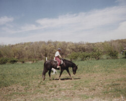 Kerrymor's Do a Dance exercises at Kerrymor Farm. Kerrymor's Do a Dance exercises at Kerrymor Farm.