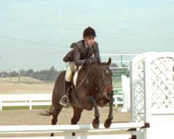 Kerrymor Lady Diana jumps a fence with Terry McKenna in 1987 in Goodyear, Arizona.