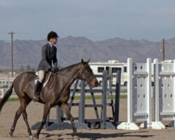 Kerrymor Lady Diana competes with Terry McKenna in 1987 in Goodyear, Arizona.