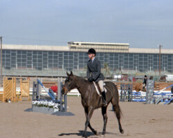 Kerrymor Lady Diana competes with Terry McKenna in 1987 in Goodyear, Arizona.