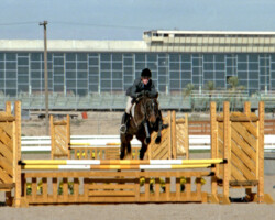 Kerrymor Lady Diana competes with Terry McKenna in 1987 in Goodyear, Arizona.
