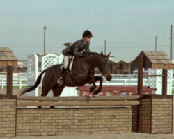 Kerrymor Lady Diana competes with Terry McKenna in 1987 in Goodyear, Arizona.