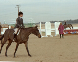 Kerrymor Lady Diana competes with Terry McKenna in 1987 in Goodyear, Arizona.