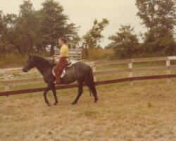 Joan McKenna Sr. backs Kerrymor's Autumn Hope for the first time in 1978 at Kerrymor Farm in Pacific, Missouri.