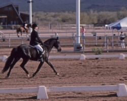 Lynfields Kiltuck competes in a dressage show in 1990 at WestWorld in Scottsdale, Arizona. Lynfields Kiltuck competes in a dressage show in 1990 at WestWorld in Scottsdale, Arizona.