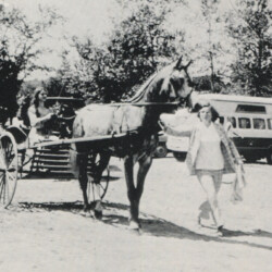 Connemara stallion Calum appeared in the summer 1973 issue of the American Connemara Pony Society News. The caption said he was accompanied by Sarah and Mrs. Robert J. Vernland. Our research shows that Calum was a fullbred by Erin Laddie out of Pauline and was born in 1969. He had one offspring, a gelding, Tiger Laddie.